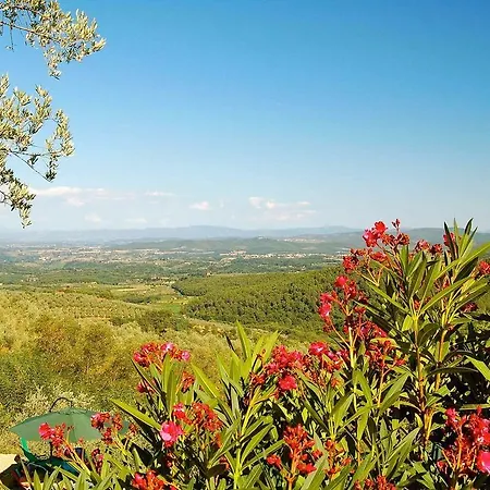 Borgo Degli Olivi Starda
