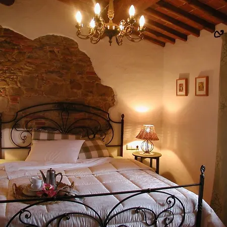 Borgo Degli Olivi Starda
